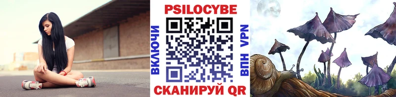 Галлюциногенные грибы мухоморы наркошоп Сясьстрой